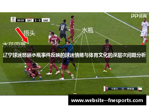 辽宁球迷怒砸水瓶事件反映的球迷情绪与体育文化的深层次问题分析